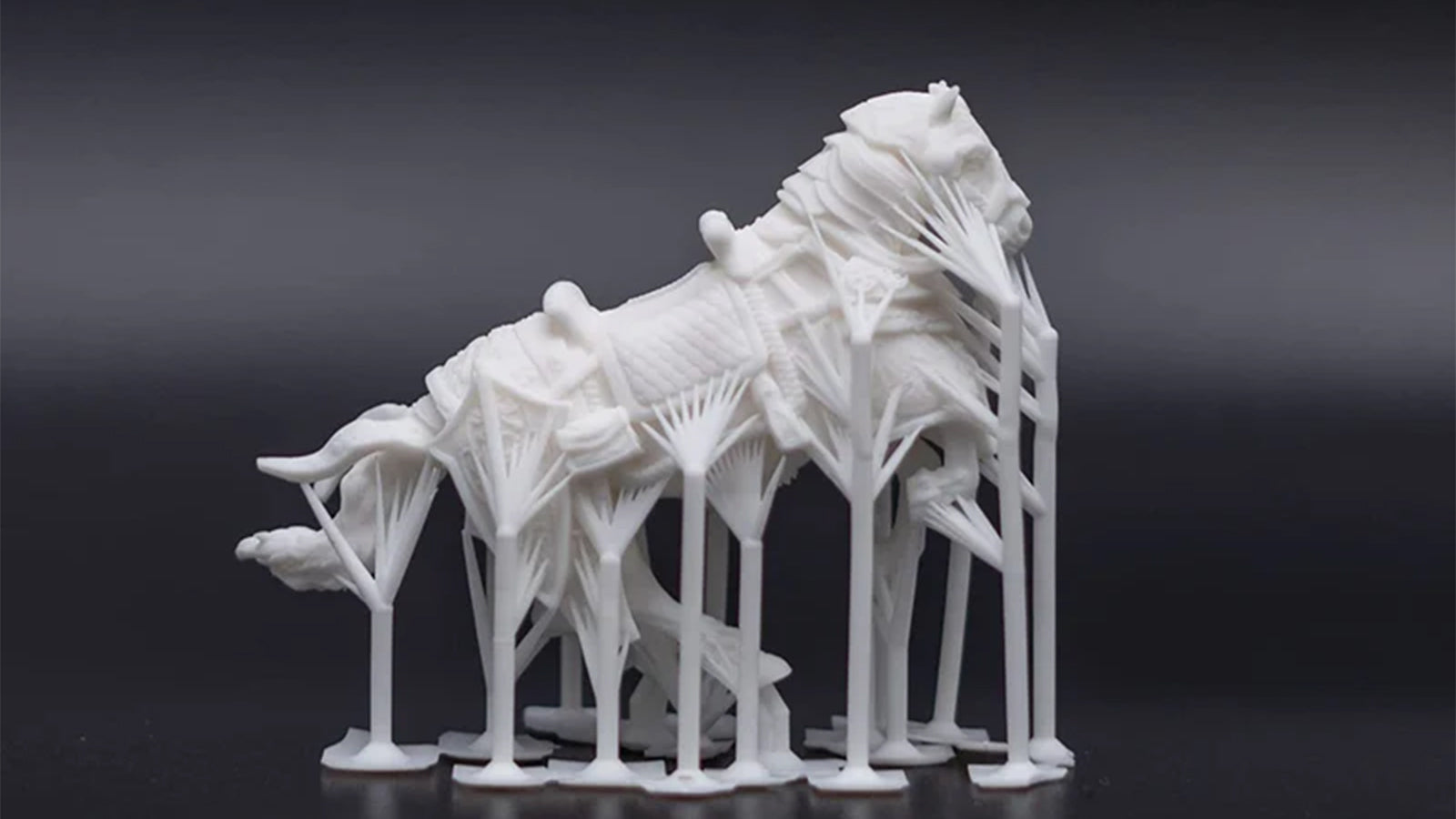 Unlocking the Future of 3D Printing with Siraya Tech