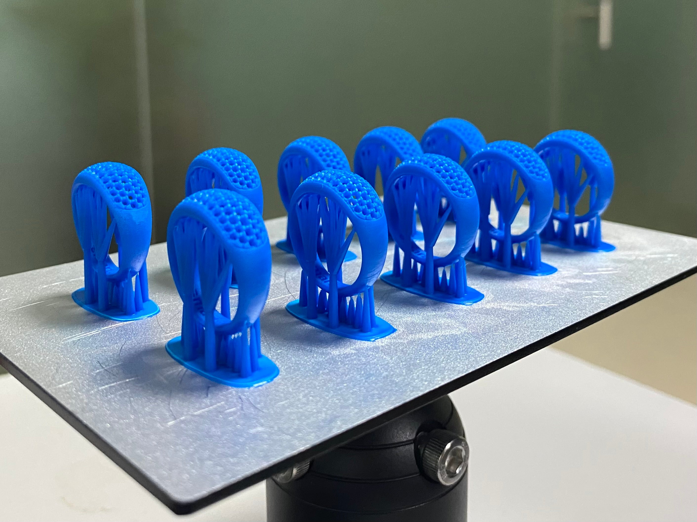 13_680C82FB-3CA6-47BA-9D02-8FDF3B731ABF